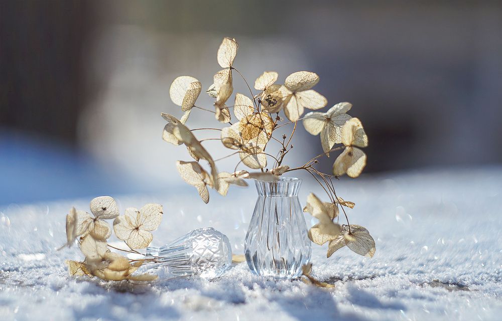 Photograph by Татьяна Александрова