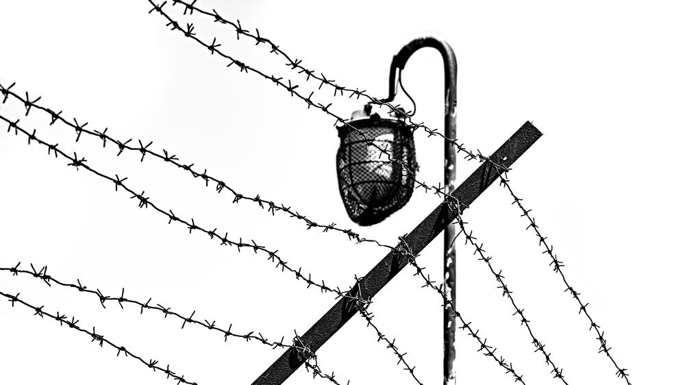 Photograph by Алексей Александрович Вешкурцев