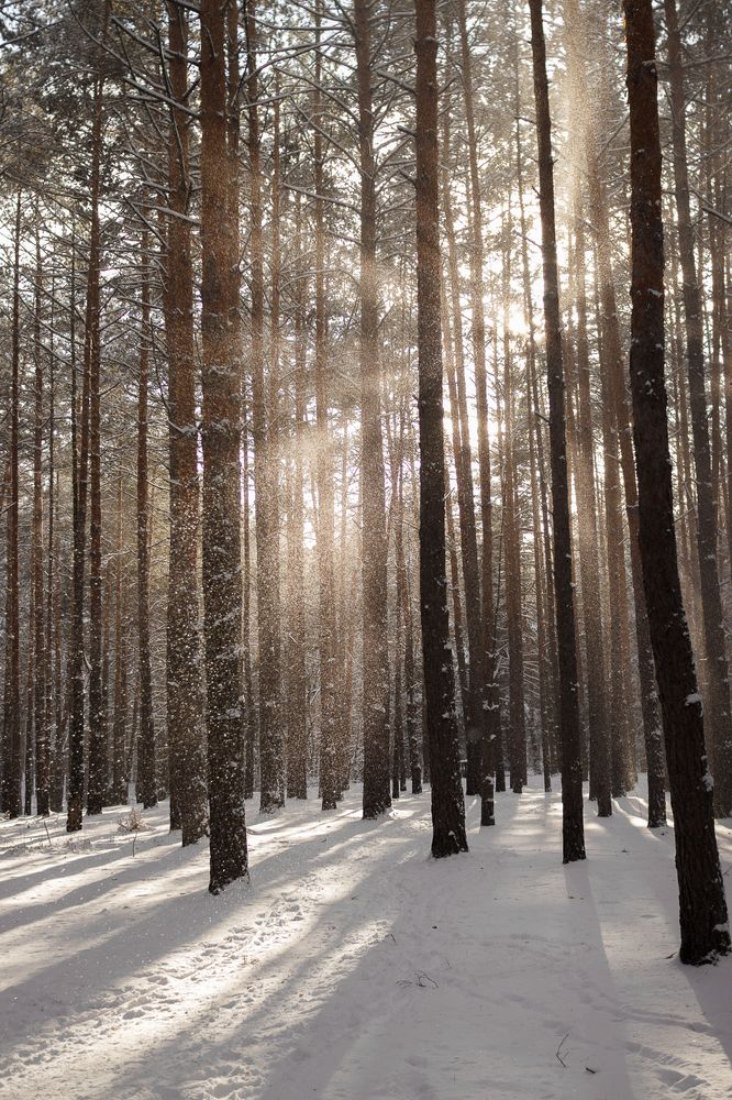 Photograph by Яна Ивасив