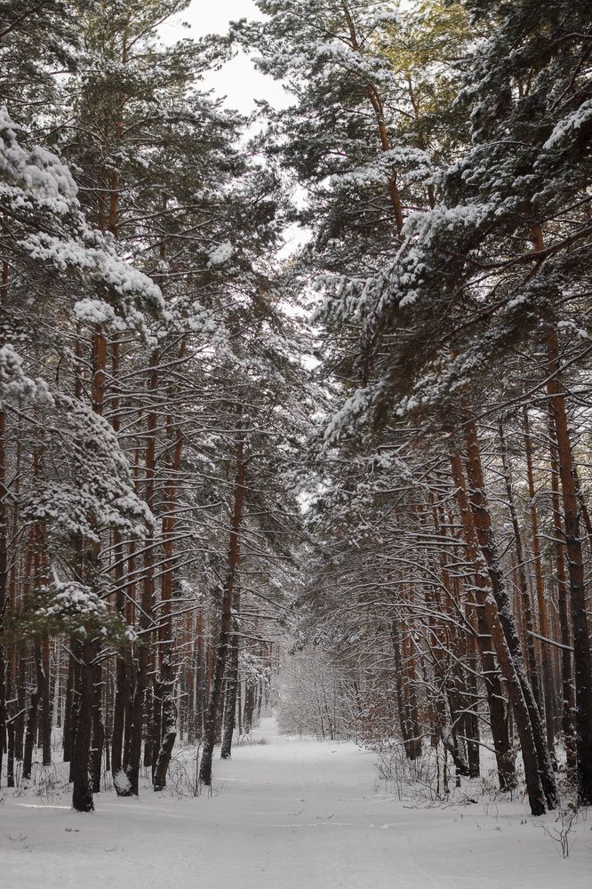 Photograph by Яна Ивасив