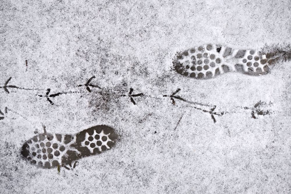 Photograph by Галина Балахонова