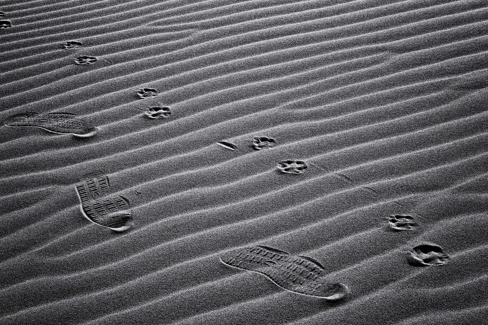 Photograph by Тамара Андреева