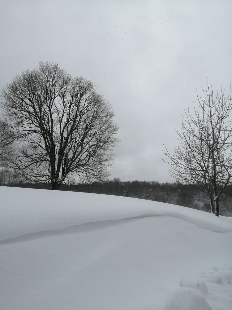 Photo #7180779