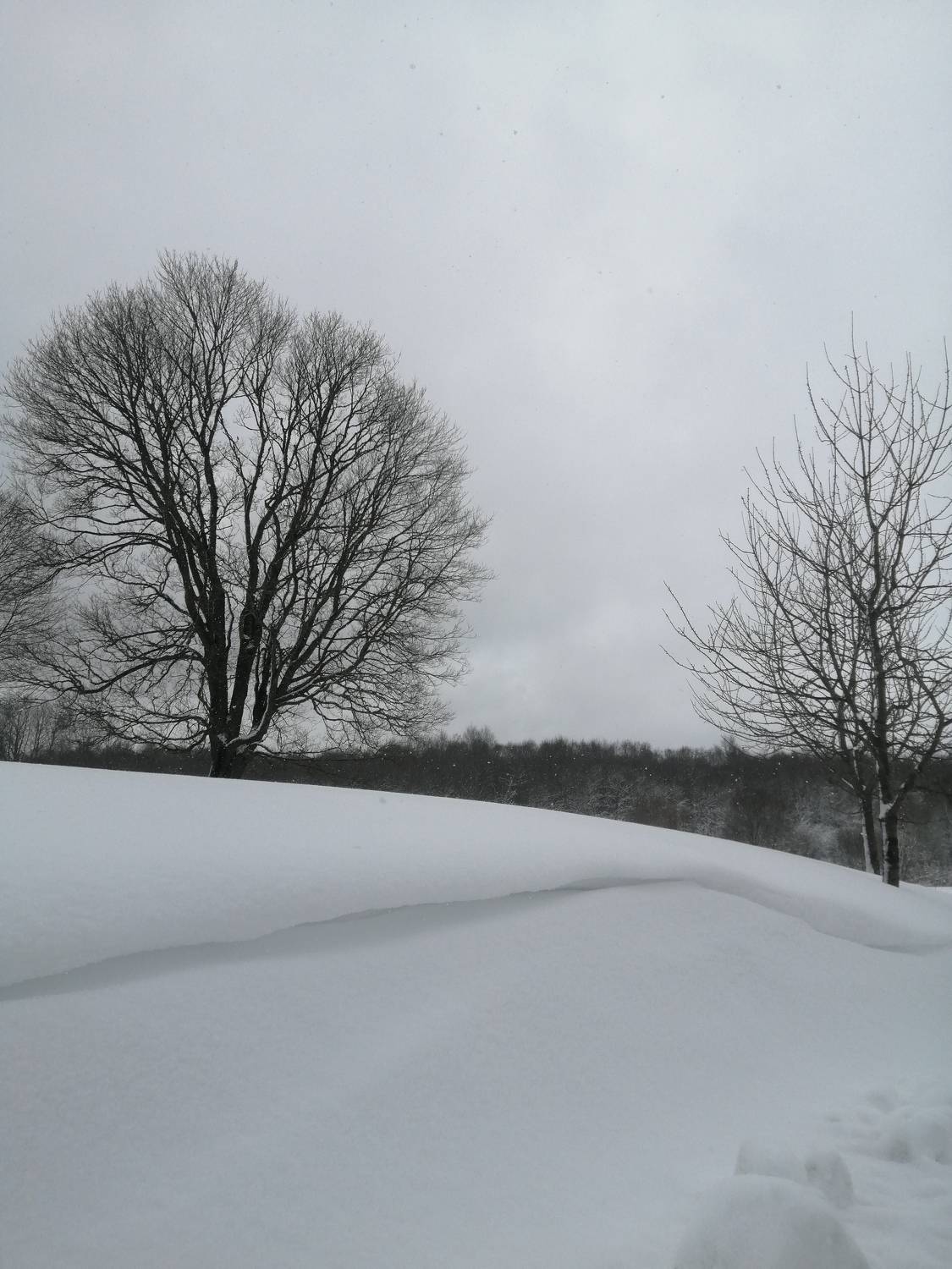 Photo #7180779