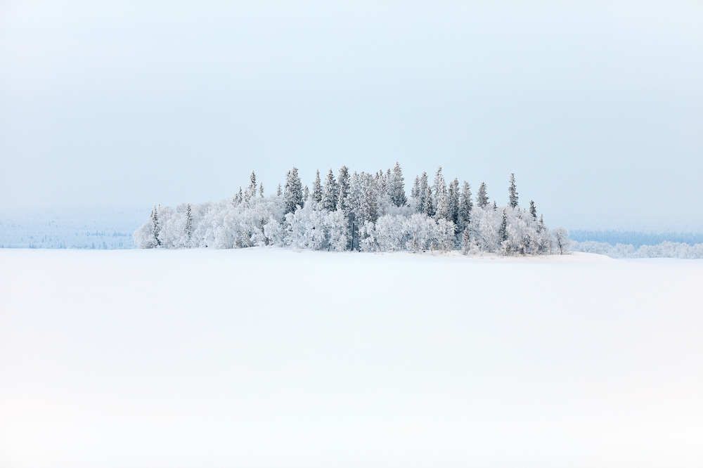 Фотография автора Mikhail Mikhaylov