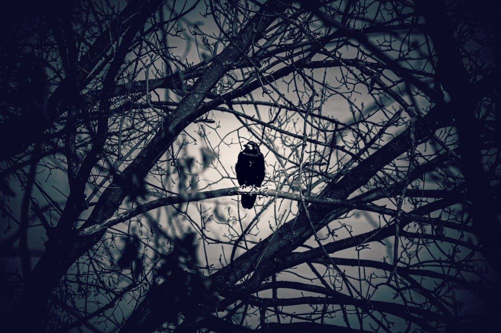 Фотография автора Mihail