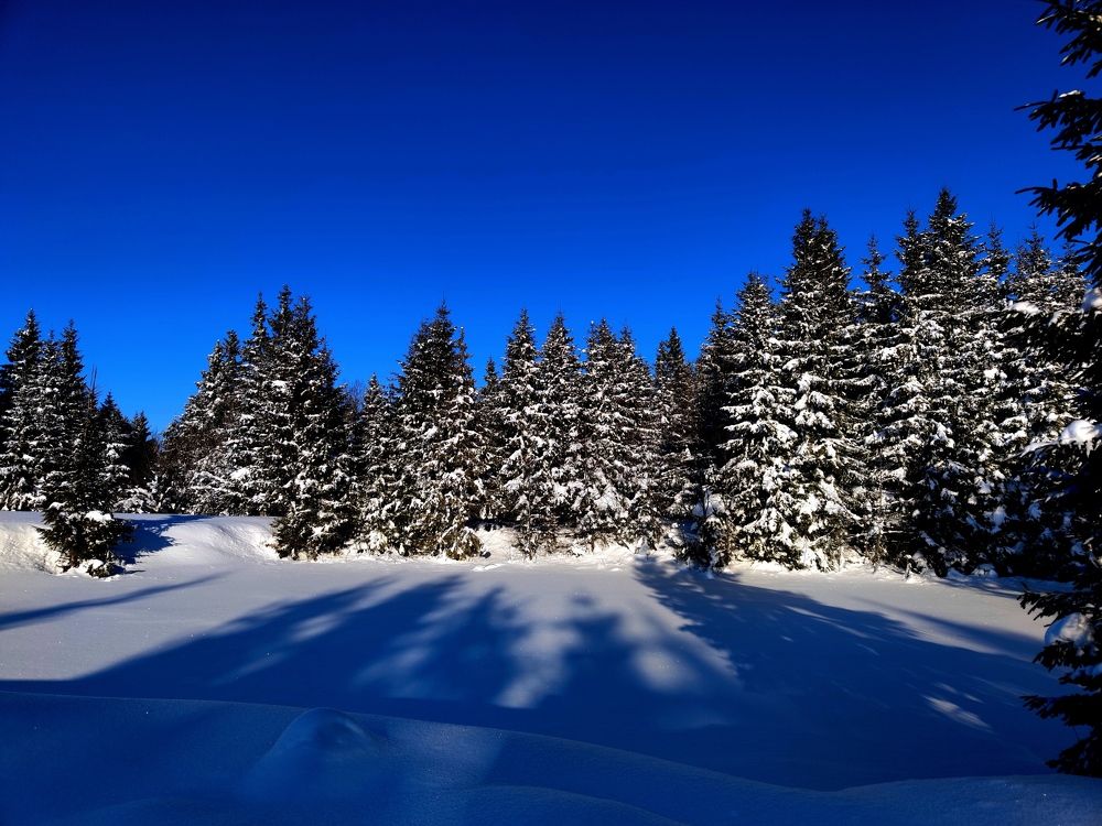 Photograph by Инна Макарчук