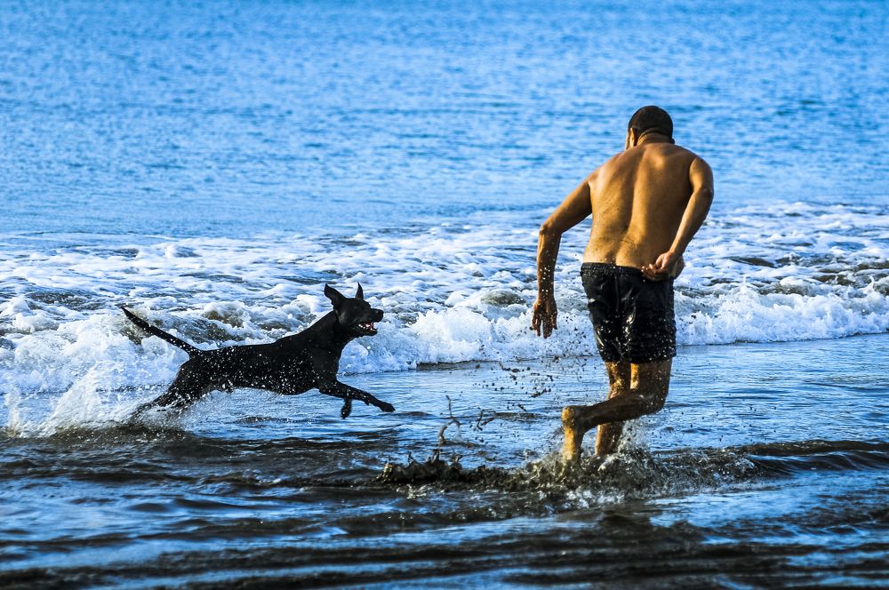 Photograph by Moises Matute