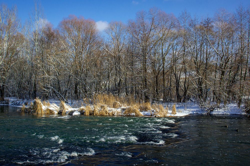 Photograph by Ирина Кошлюнова