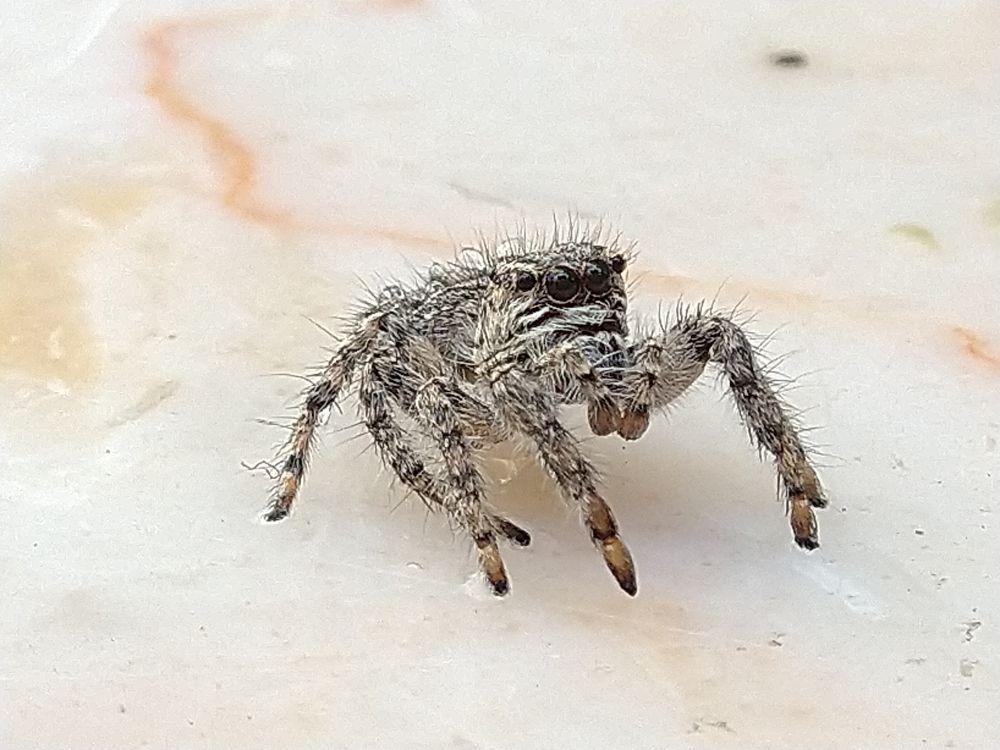 Photograph by Mohammad Amin Ghaffari