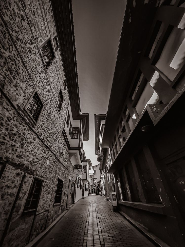 Photograph by Darya Вега