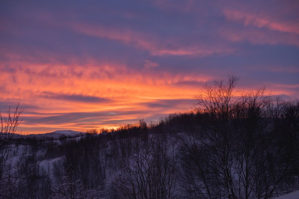 Photograph by Анастасия Сергеева