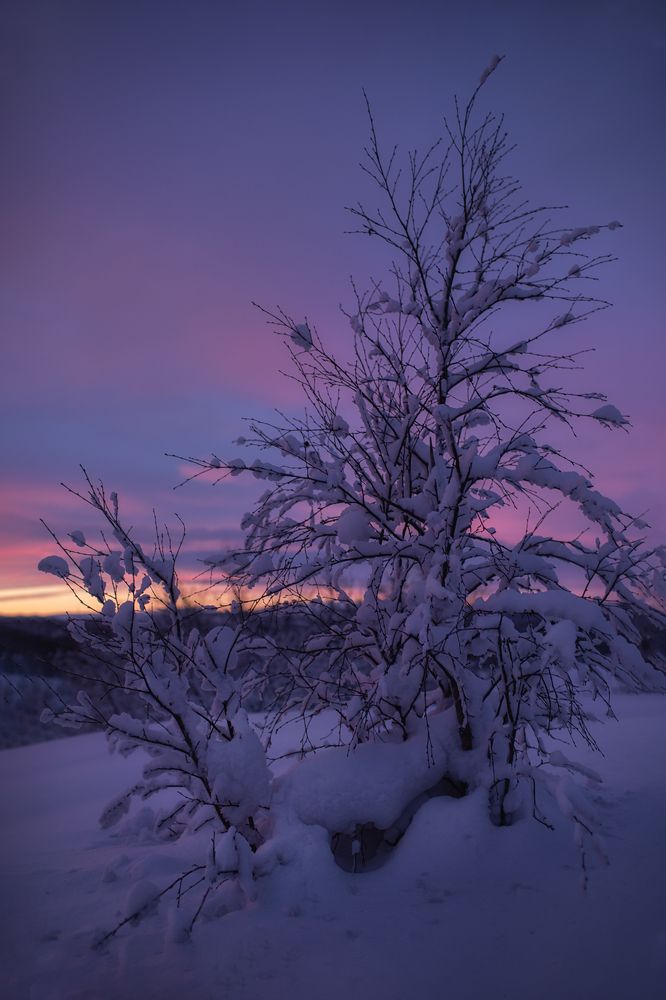 Photograph by Анастасия Сергеева