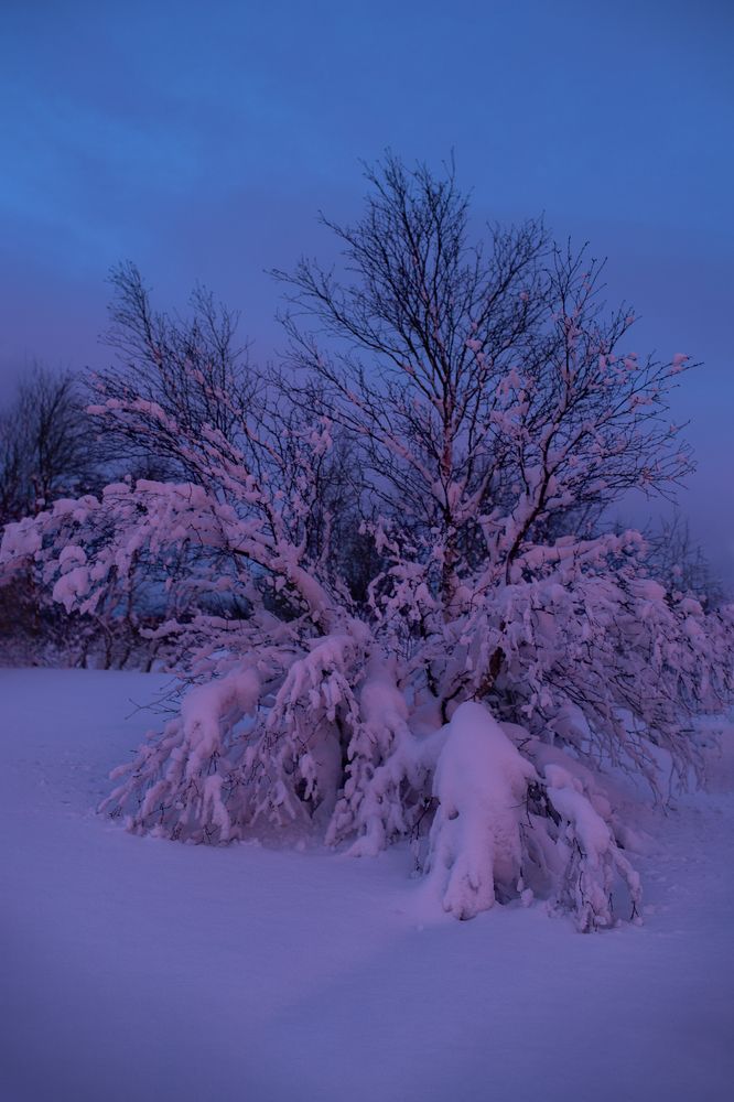 Photograph by Анастасия Сергеева
