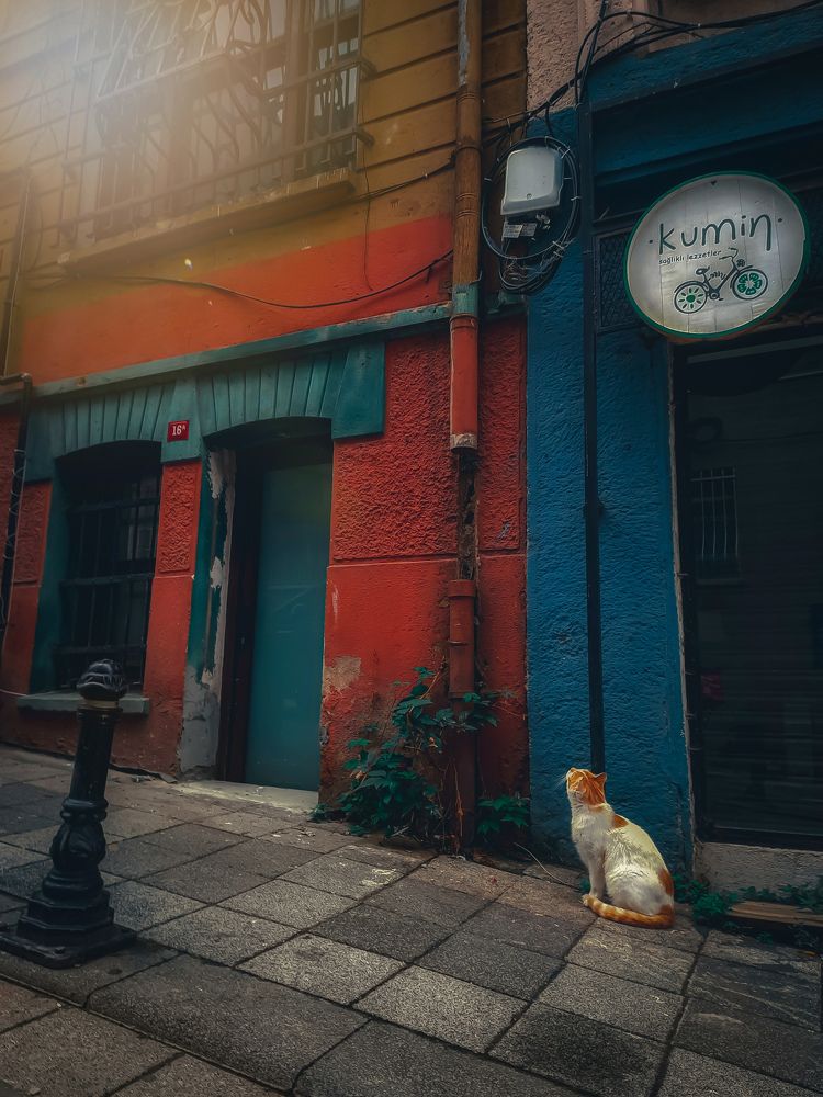 Photograph by Дарья Вега