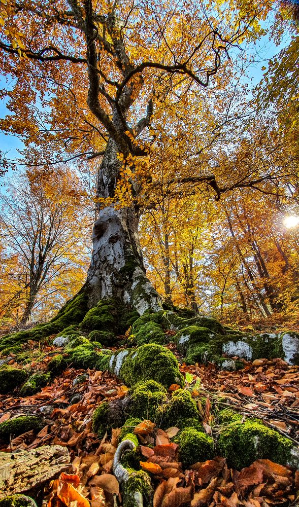 Photograph by Екатерина Лурина