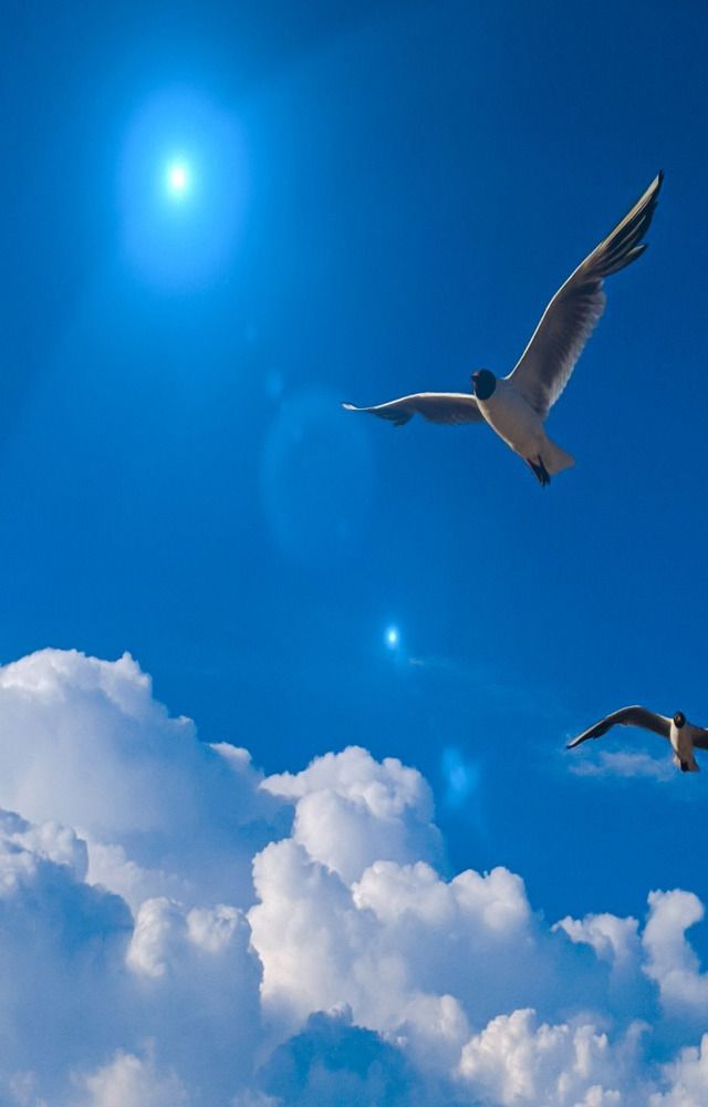 Фотография автора Наталья Синицына