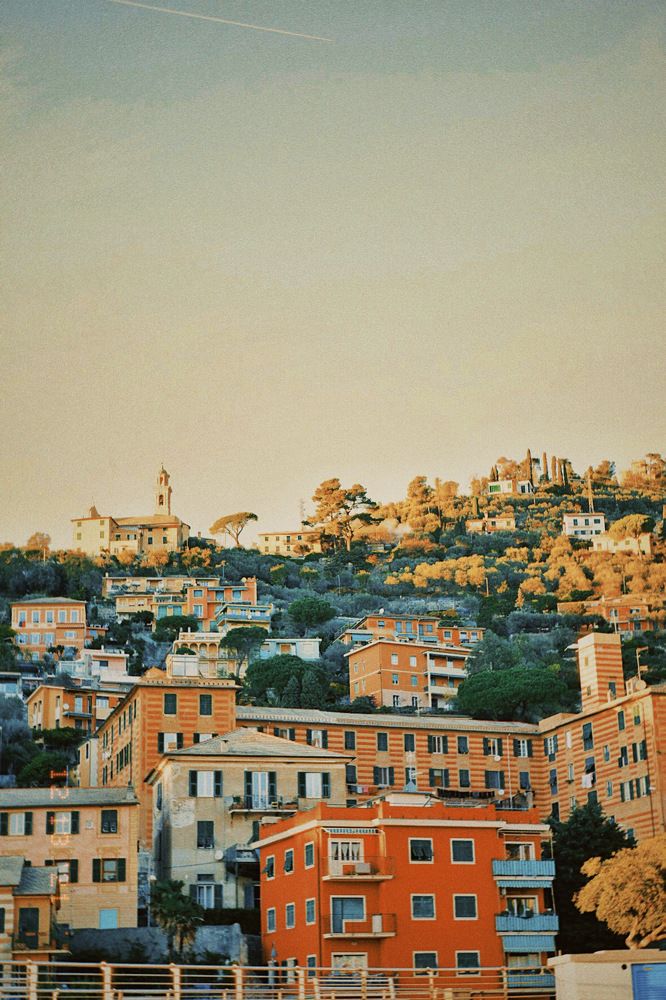 Photograph by Mary Phnxm