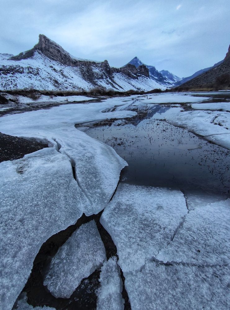 Photograph by Ali goreishi1