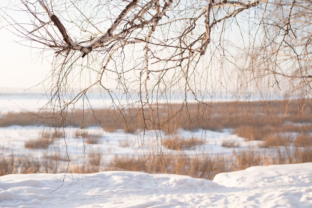 Photograph by Анастасия Широкова