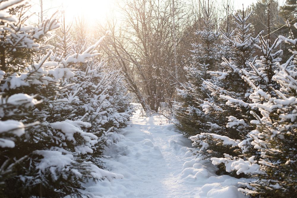 Photograph by Анастасия Широкова