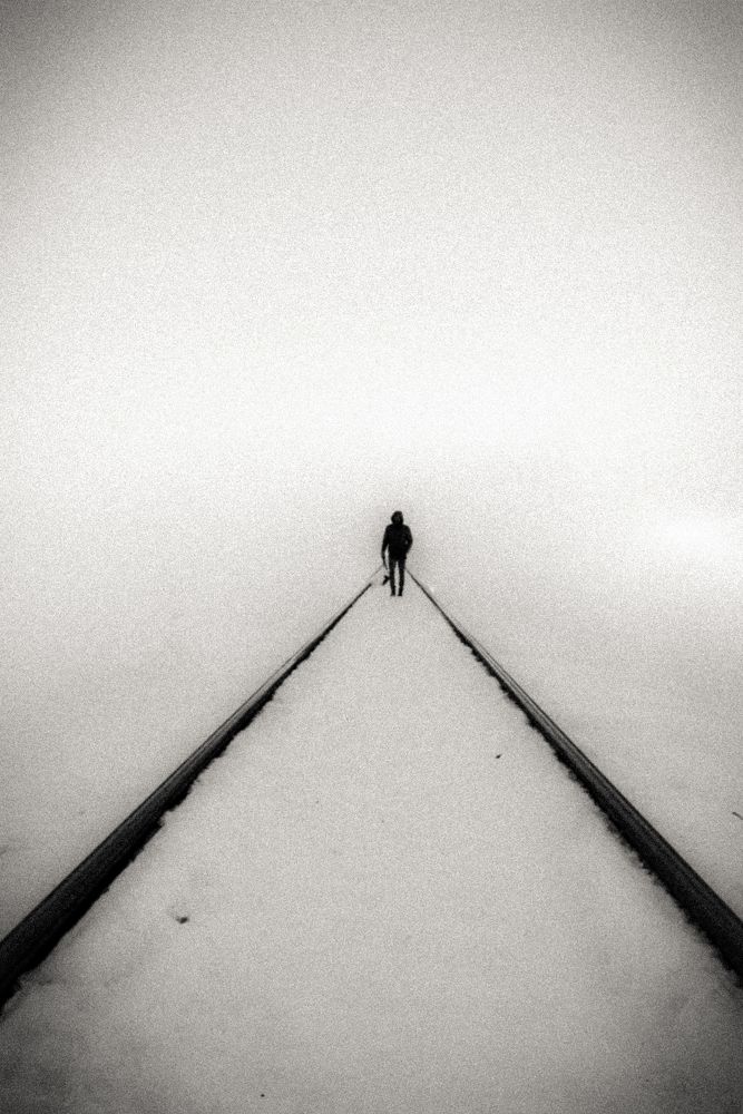 Photograph by mahdi jangjo