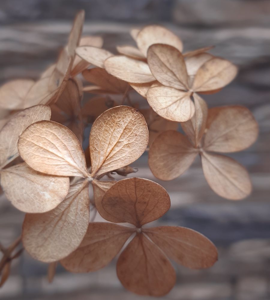 Photograph by Ольга