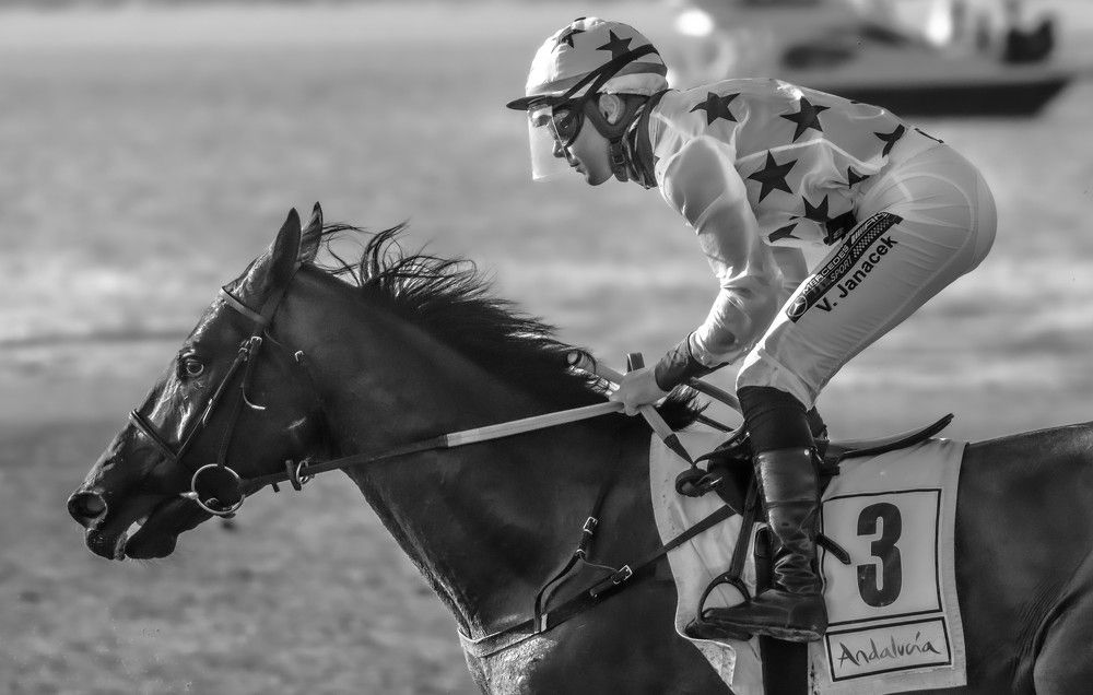 Photograph by Francisco José López Fernández