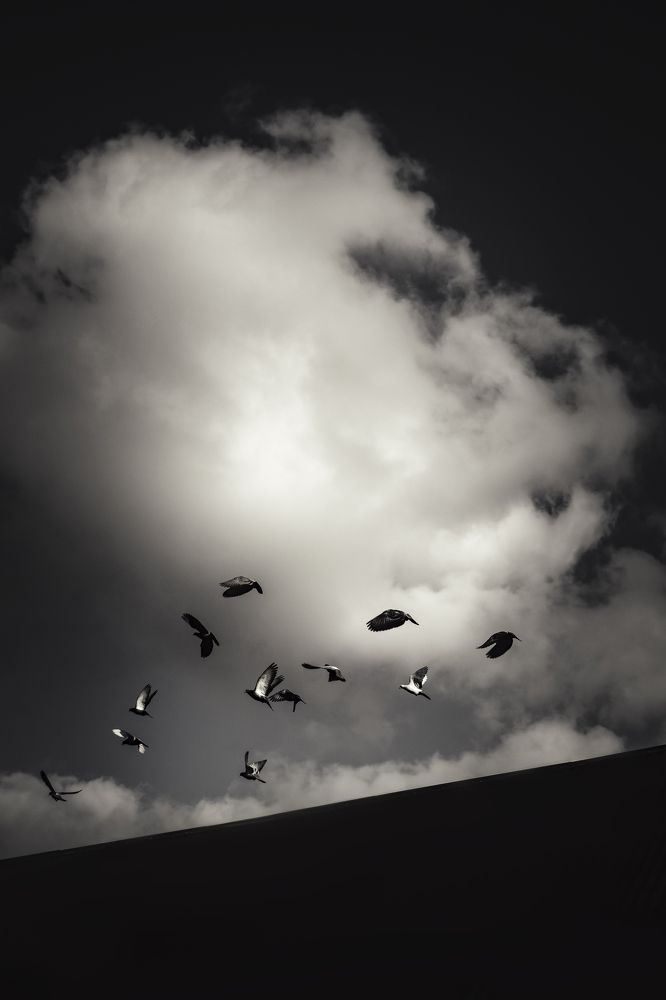 Photograph by Shamil Muzheidov