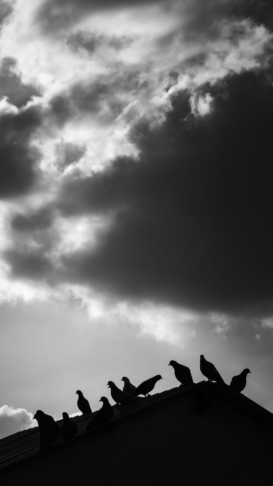 Photograph by Shamil Muzheidov