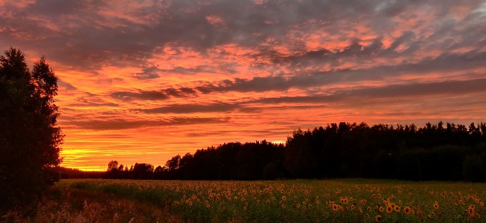 Photograph by Юлия