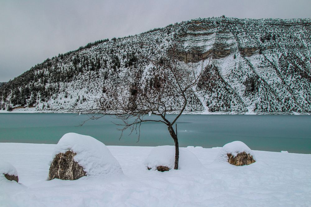 Фотография автора vanessa elbin