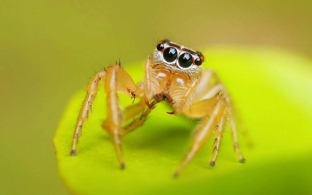 Photograph by I Komang Wirnata