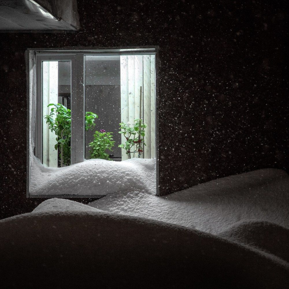 Photograph by Вячеслав Прыгун