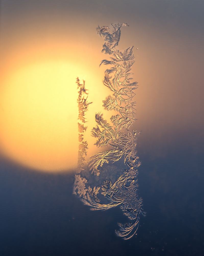 Photograph by Вячеслав Прыгун