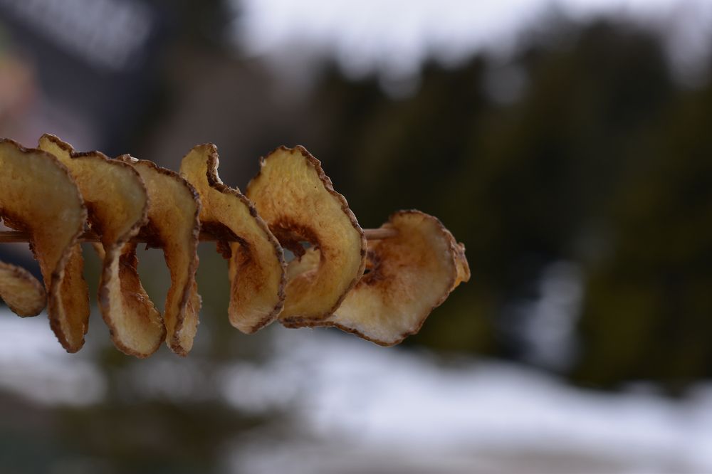 Photograph by Natasha Latinovska