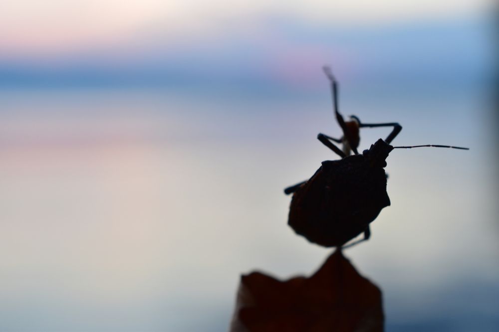 Photograph by Natasha Latinovska