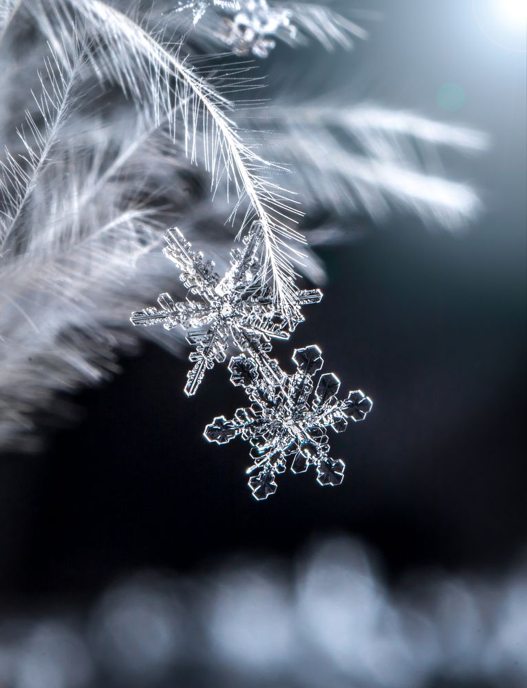 Photograph by Наталья Оконешникова