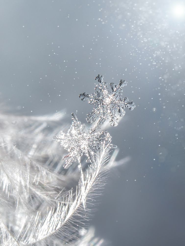 Photograph by Наталья Оконешникова