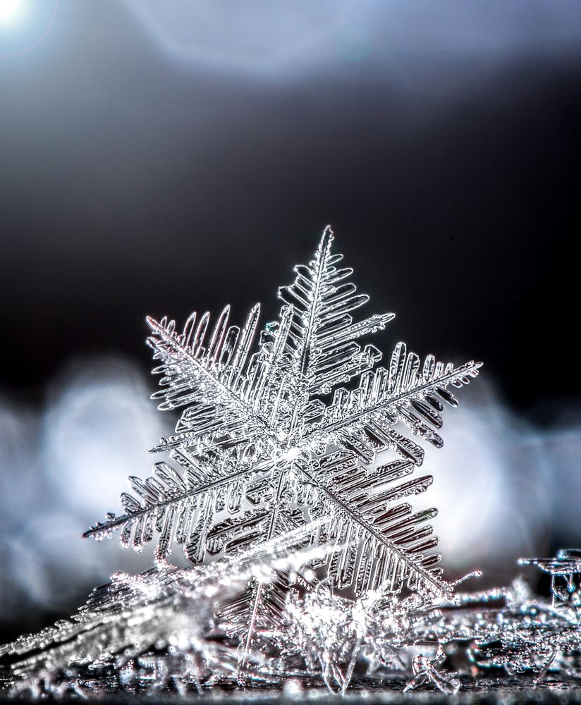 Photograph by Наталья Оконешникова