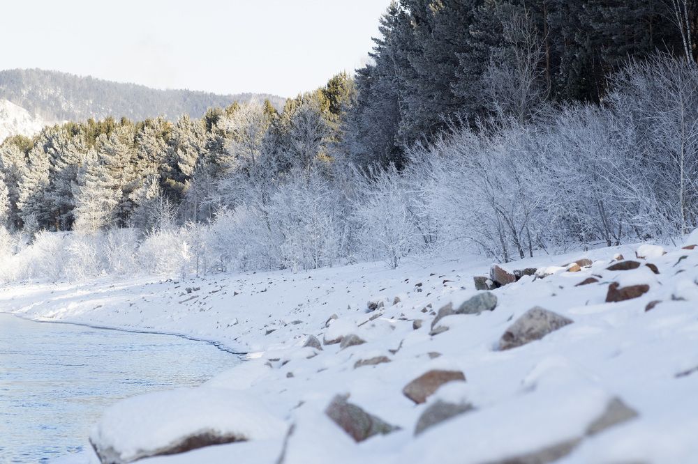 Photograph by Эльвира Быкова