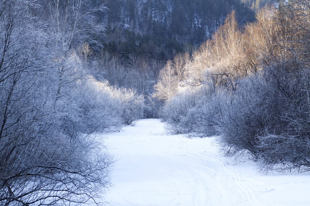 Photograph by Эльвира Быкова
