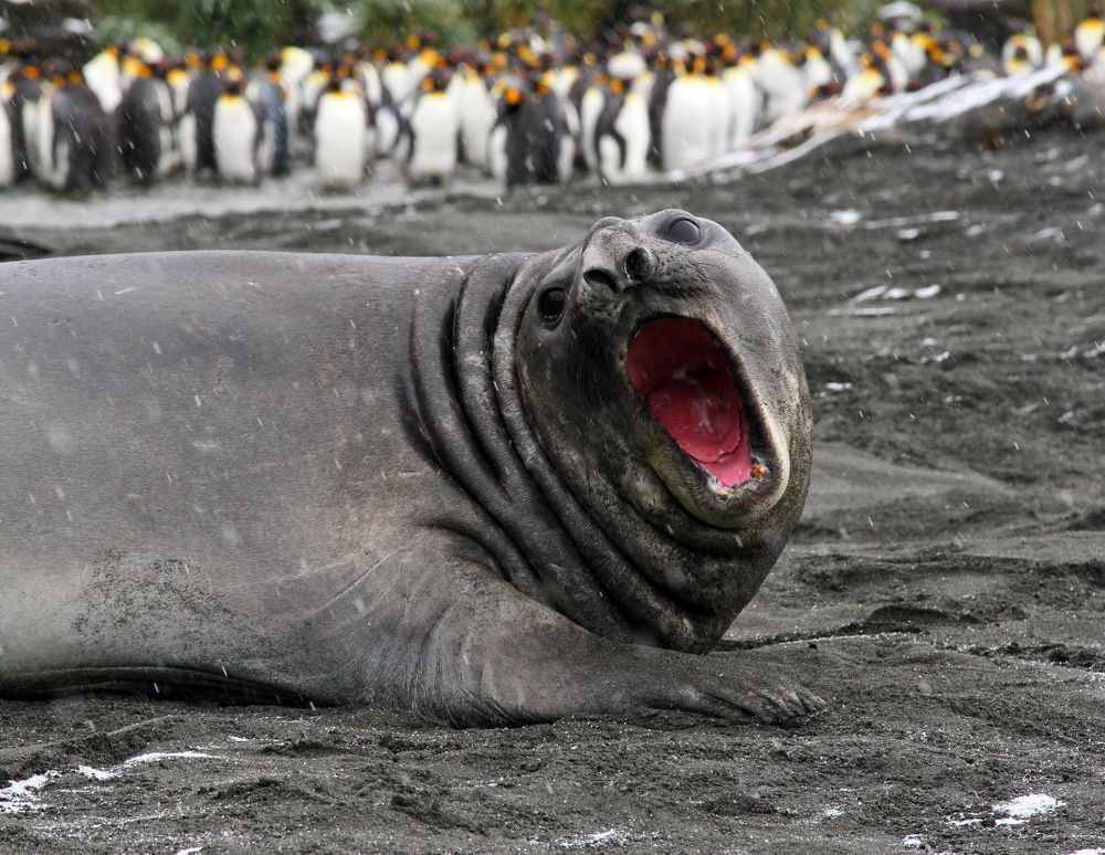 Photograph by Сергей ГОРДИЕНКО