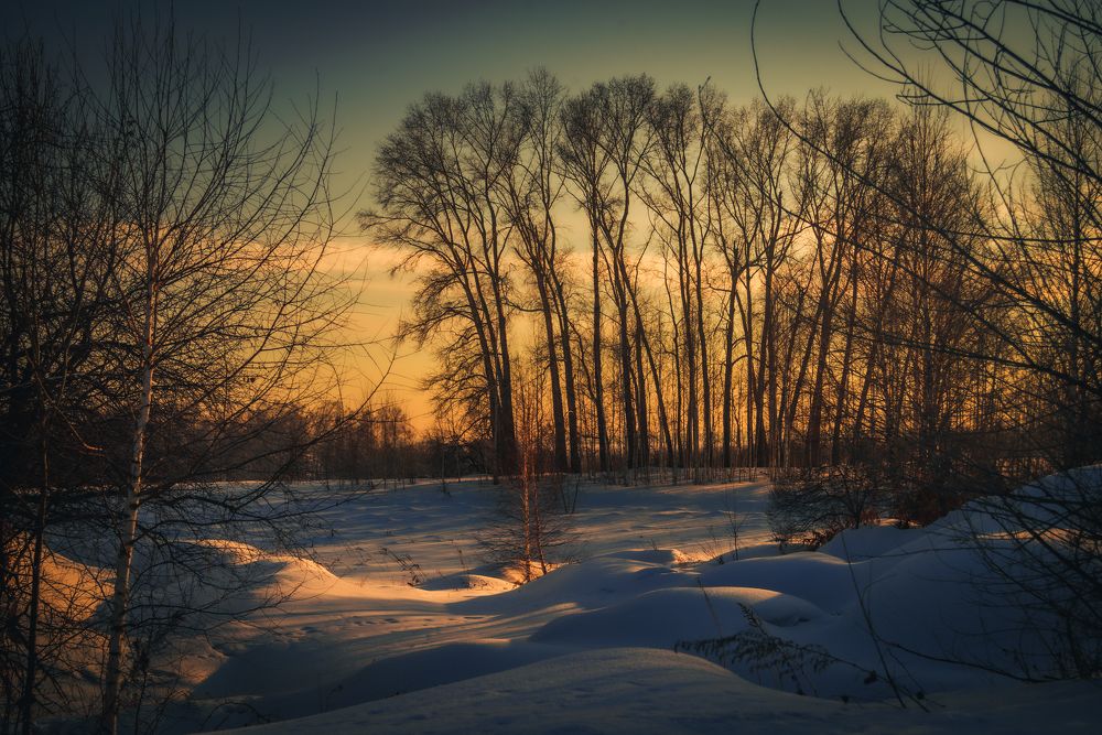 Фотография автора Виталий Гавронский