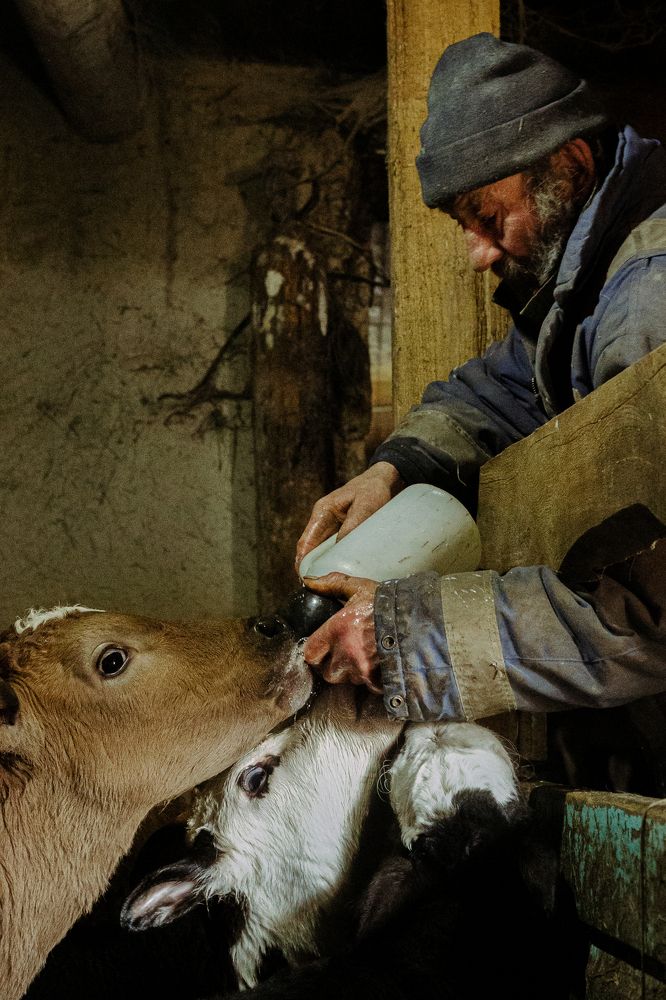 Photograph by Адель Дуйсалиева