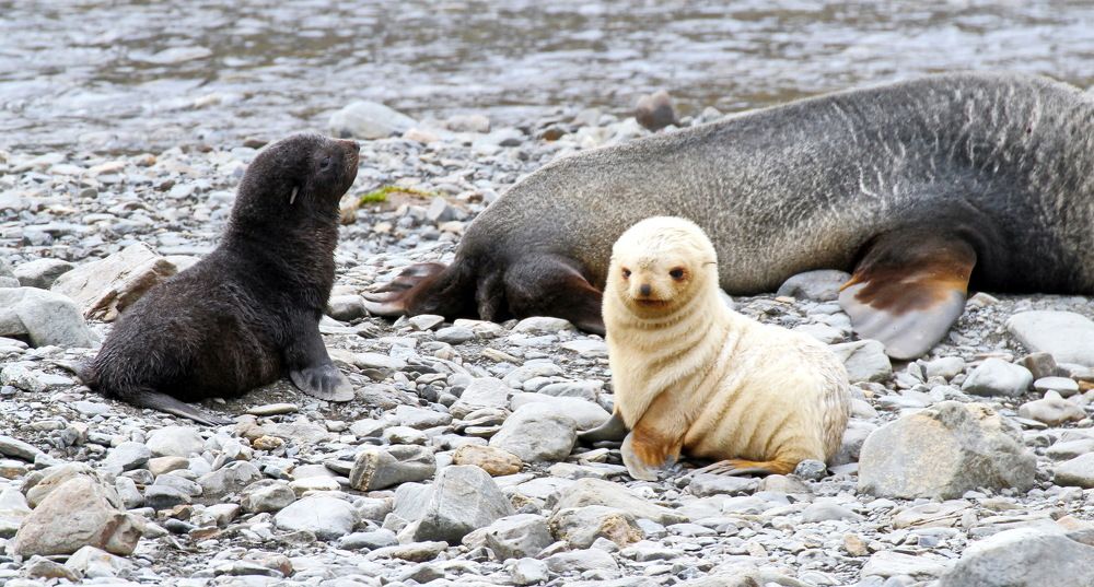 Photograph by Сергей ГОРДИЕНКО