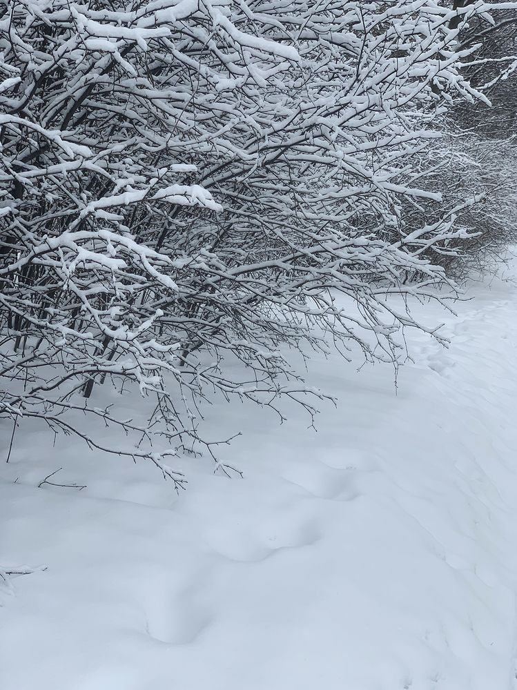 Photograph by Liliana Grup