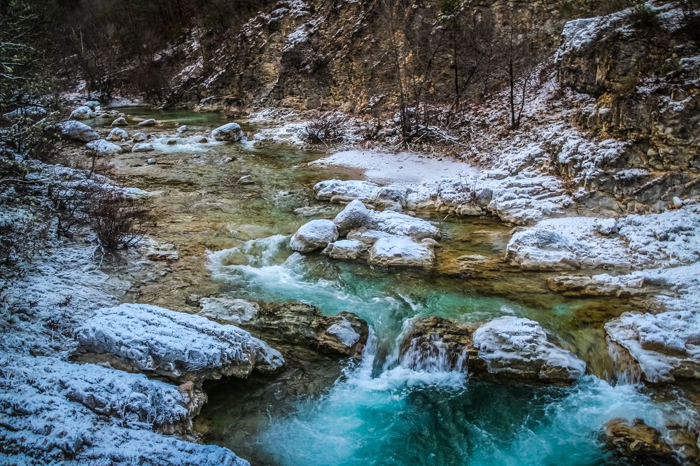 Фотография автора vanessa elbin