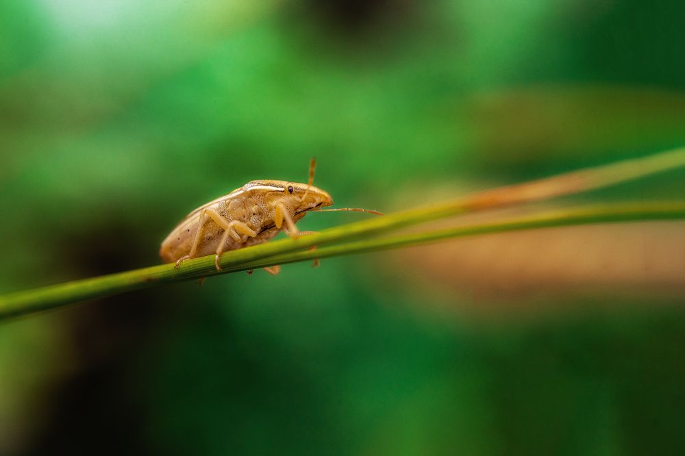 Photograph by Инна ПьянОва