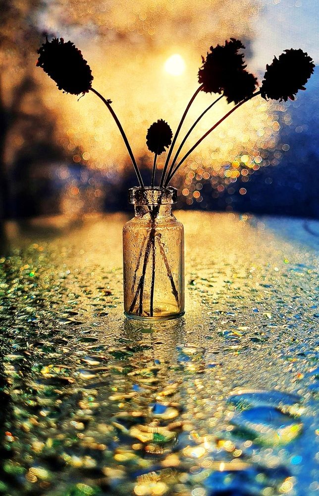 Photograph by Ольга Веселова